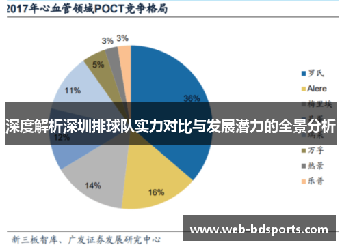 深度解析深圳排球队实力对比与发展潜力的全景分析
